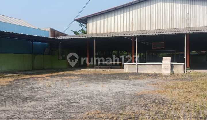 For rent: former futsal court land on the side of the highway