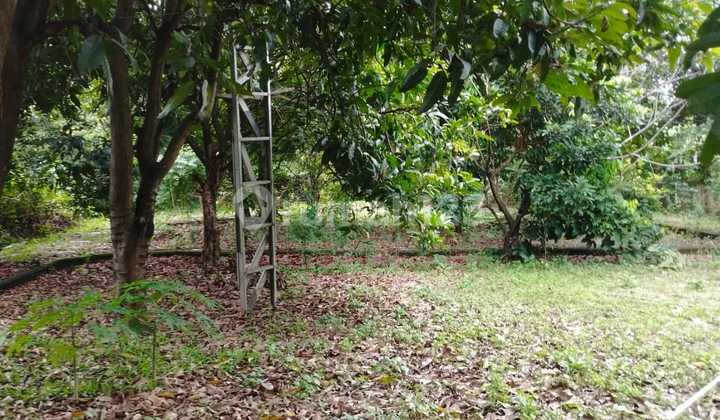 For Sale: Large Plot of Land Suitable for Building a Cluster