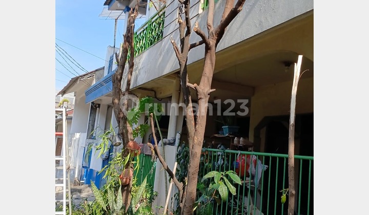 Rumah di jual di dalam perumahan komplek PPI Rumah di jual di dalam perumahan komplek PPI