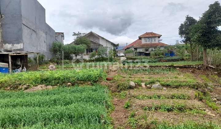 Tanah di Sukaresmi, Cipanas, Cianjur, SHM