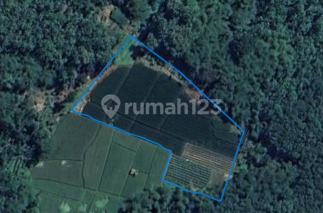 Tanah di Desa Cilandak, Purwakarta, Jawa Barat, SHM