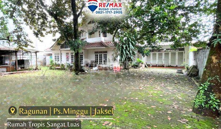 Rumah Tropis Sangat Luas Area Asri di Ragunan Pasar Minggu Jaskel 1