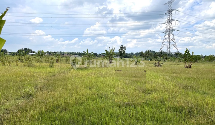 Dijual Tanah Klepu Pringapus Ungaran 1