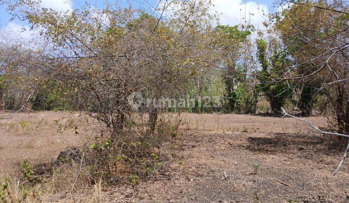 Land Plot for Sale Ready to Build in Kutuh, Already in Villa Environment 2