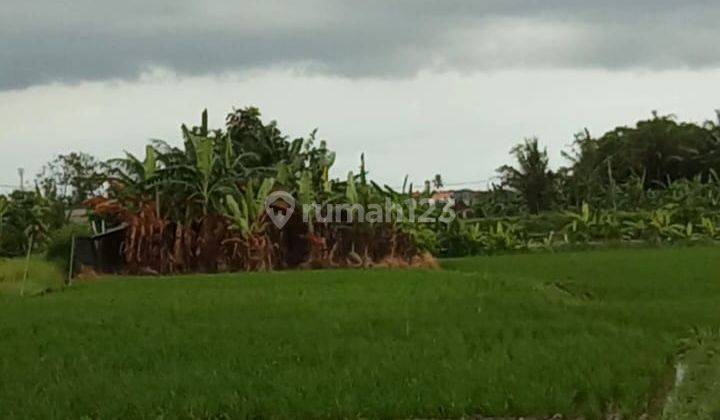 Tanah Sewa Jangka Panjang Dekat Pantai Cemagi 1