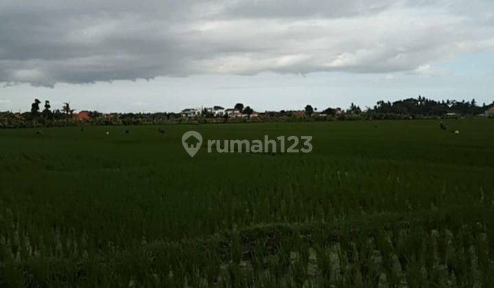 Tanah Sewa Jangka Panjang Dekat Pantai Cemagi 2