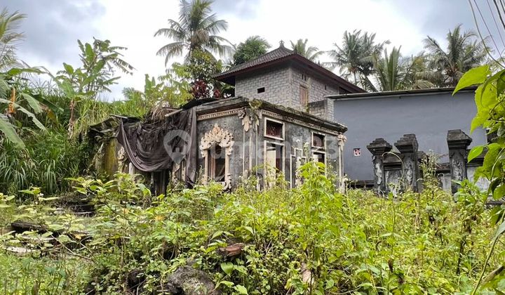 Strategic Land Near Jatiluwih - Roadside
