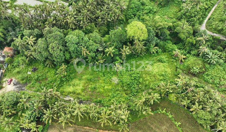 Land Plot Ready to Build in Villa Area Only 7 Minutes to the Beach