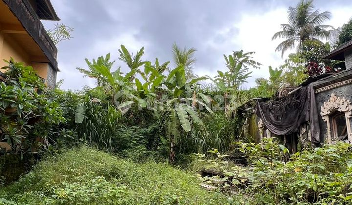 Strategic Land Near Jatiluwih - Roadside