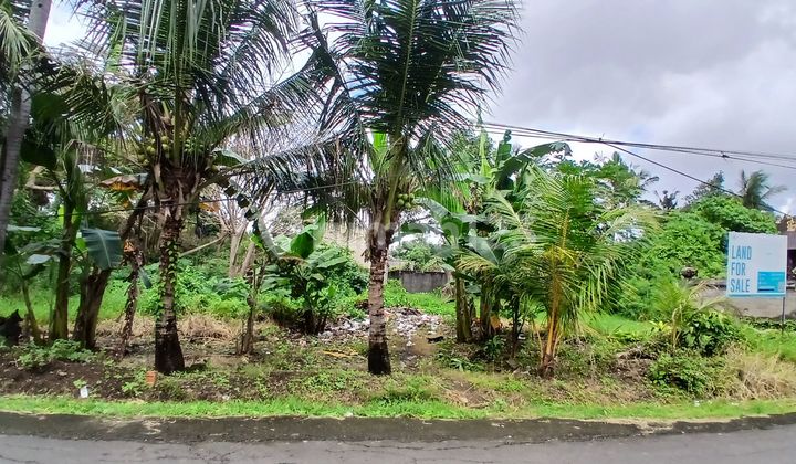 Tanah Siap Bangun Pinggir Jalan Di Kaba Kaba Cocok Untuk Villa Atau Usaha Tanah Siap Bangun Pinggir Jalan Di Kaba Kaba Cocok Untuk Villa Atau Usaha