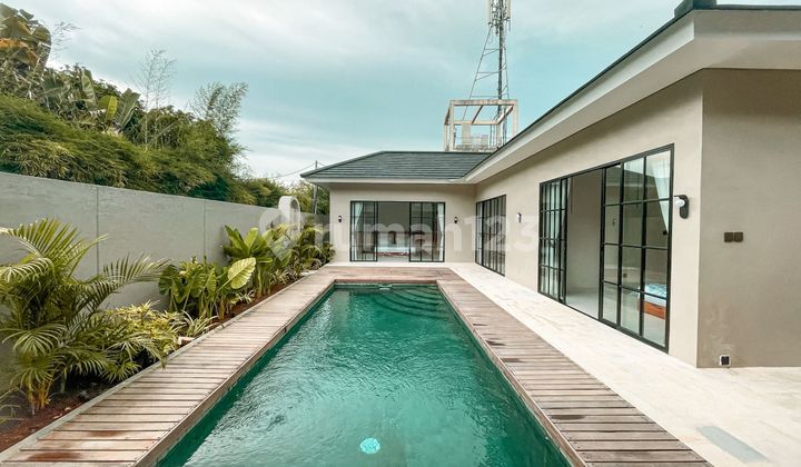 Brand New Luxury 3 Bedrooms With Huge Swimming Pool In Sanur