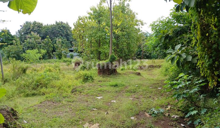 Garden Land for Sale in Tukad Mungga, Singaraja – 11 Ares
