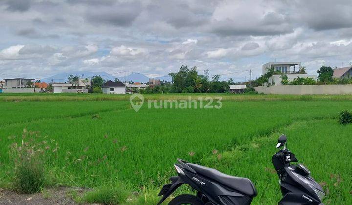 Seseh Beach Ricefiled View Leasehold Land  1