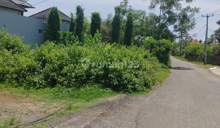 Cheap Land Potential For Villas, Boarding Houses 2