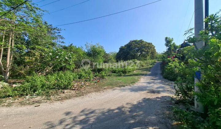 Cheap Land Near Cemara Hills Villa, Pecatu 2