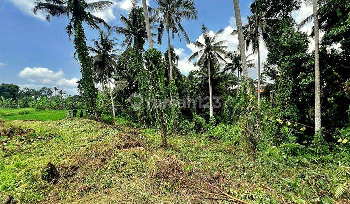 Tanah Potensial Dan Murah Tirta Tawar Ubud Bali Lose Sungai. 2