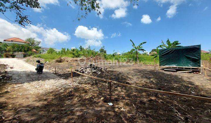 Land For Lease In Pererenan 2