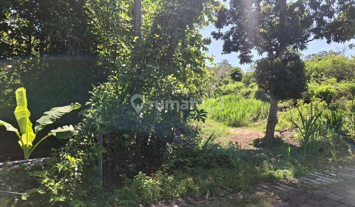 Land for sale adjacent to the coffee shop and building store Nirmala Jimbaran South Kuta Badung Bali 1