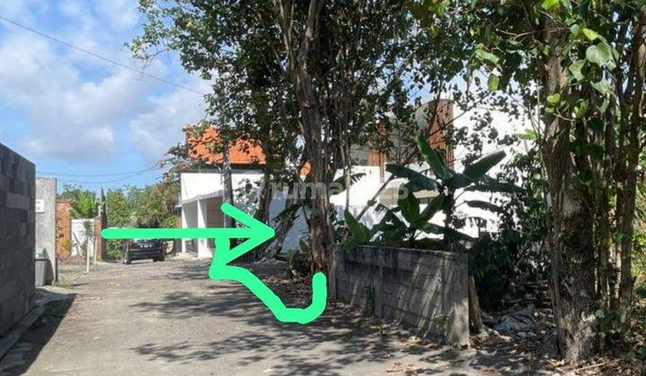 Cheap and Rare Land in Canggu Kayu Tulang Selatan 1