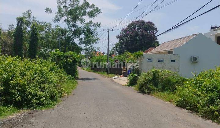 Cheap Land Potential For Villas, Boarding Houses 1