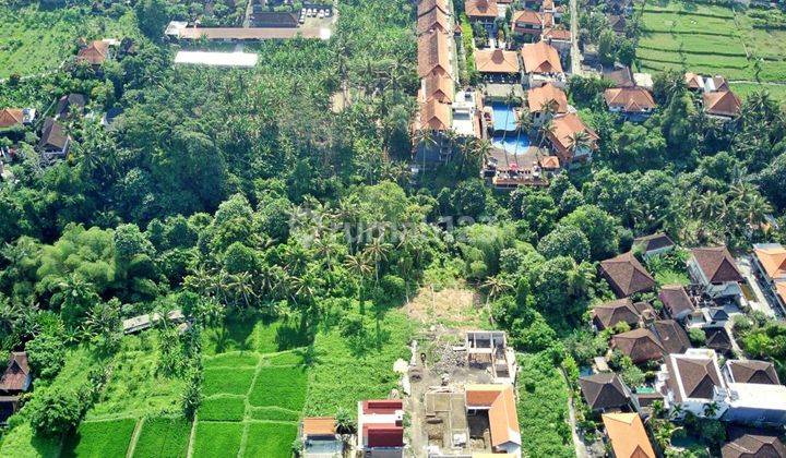 Tanah Potensial Dan Murah Tirta Tawar Ubud Bali Lose Sungai. 1