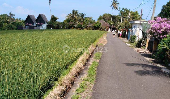 Dijual Tanah Buc Harus Laku Bulan Ini Lokasi di Jl. Batu Mejan Tabanan bali 1