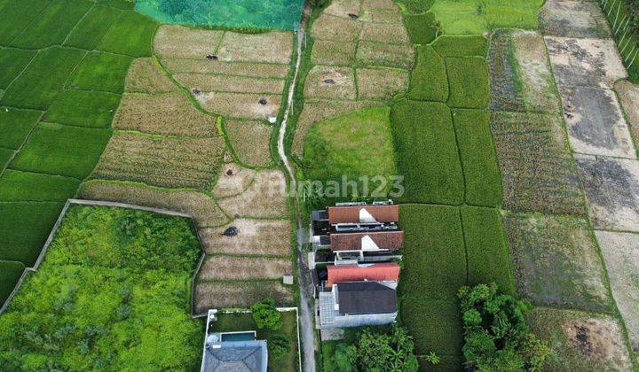 Dijual Tanah Los Sungai View Sawah di Kawasan Villa Resort Lodtunduh Ubud 2