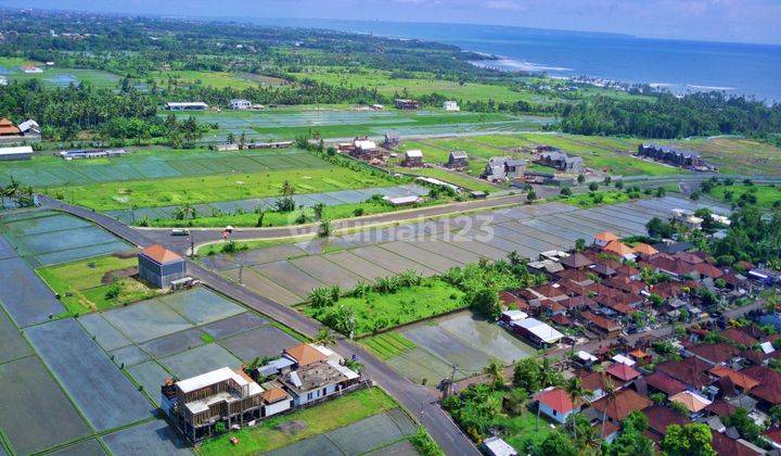 Dijual Tanah Potensial Dan Premium Kebo Iwa Pangkung Tibah Kediri Tabanan Bali 1