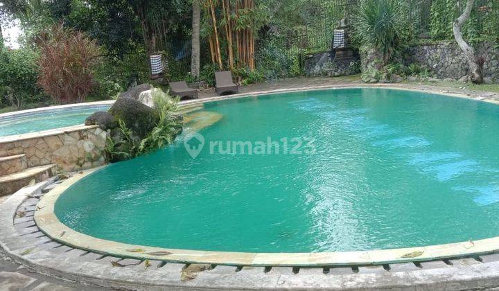 Luxurious and Potential Resort in Ubud Area 2