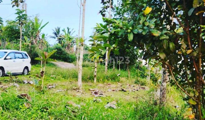 Dijual Tanah View Bukit Dan Gunung di Baturiti Bedugul Bali.  2