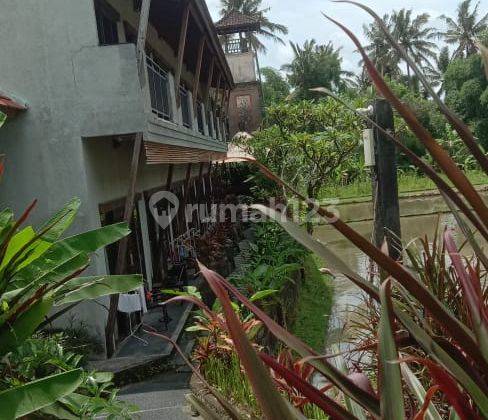 Luxurious and Potential Resort in Ubud Area 1