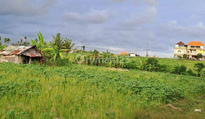 For Rent Comfortable and Very Strategic Land Area Jl. Pratu Rai Madra 18, Cemagi Bali. 2