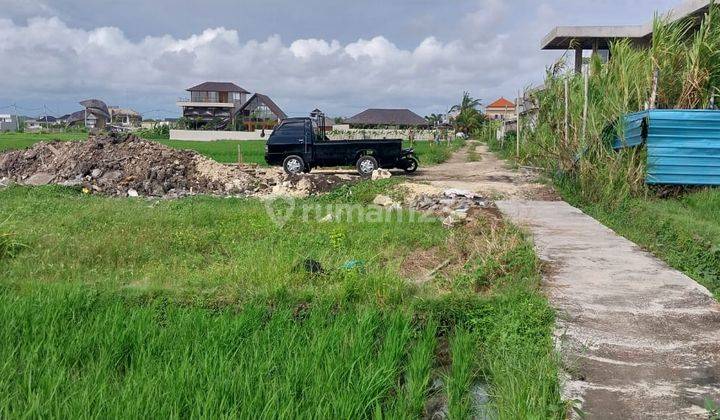 Tanah Murah Persawahan View Lyma Beach  2