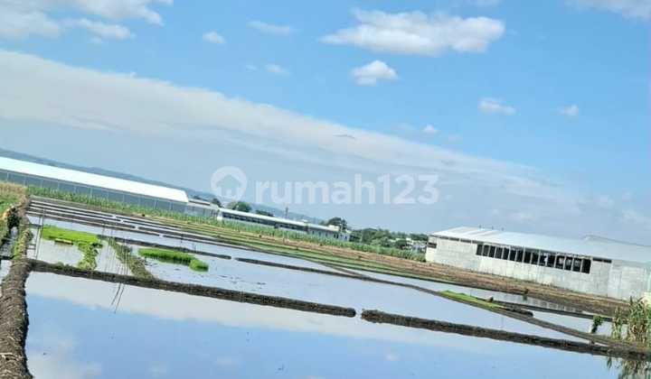 Land Area 1543 SHM on the side of Bamban Road, Pakis, Malang