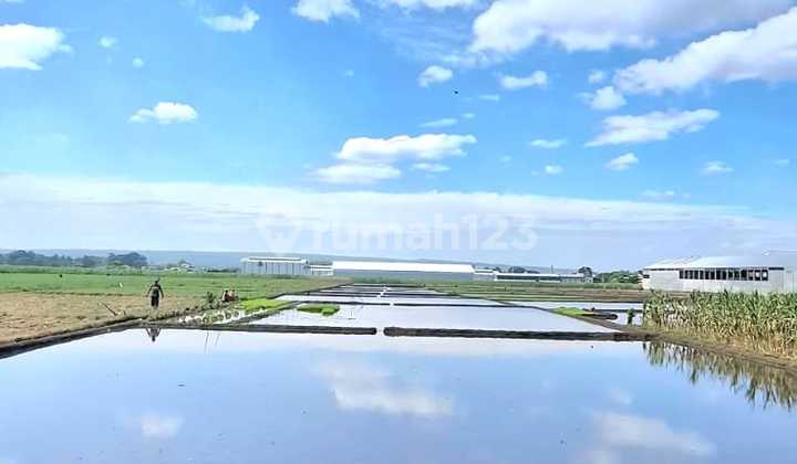 Land Area 4310 in Front of Toll Gate in Bunuwetan, Pakis, Malang