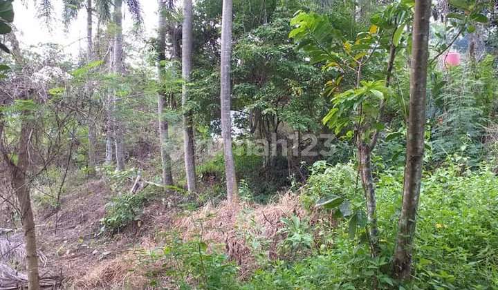 Tanah Luas 45.355 ada Batu Bolder didalamnya di Cikalongkulon