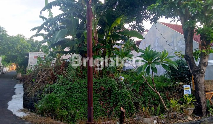 Tanah Kavling di Perumahan Puri Lidah Kulon Indah Surabaya Barat Tanah Kavling di Perumahan Puri Lidah Kulon Indah Surabaya Barat