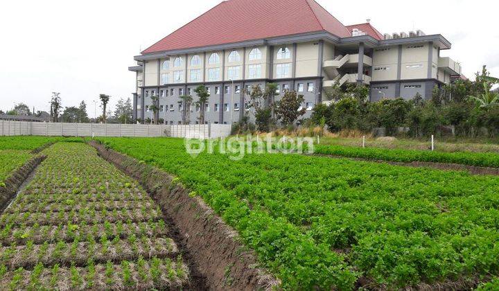 Tanah dekat museum angkut balai among tani pesanggrahan kota Batu Malang 2