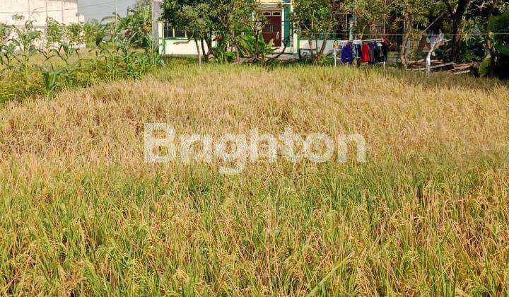 Tanah di Menganti krajan , dekat pasar menganti dan desa karangturi, menganti gresik 1