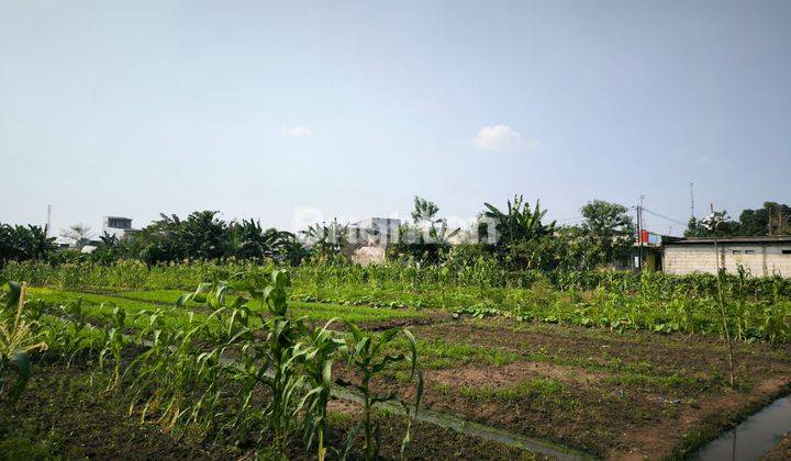 Tanah jual dibawah njop Tambun . Bekasi 2