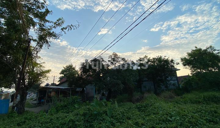 Plot in Karawang, Kemiri Main Road, Rengasdengklok. Plot in Karawang, Kemiri Main Road, Rengasdengklok.