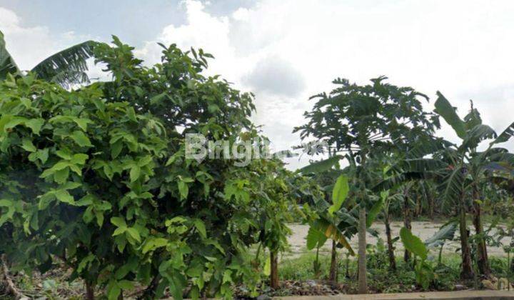 TANAH KAVLING BEDAHAN DEPOK  PINGGIR JALAN COCOK BANGUN CLUSTER 2