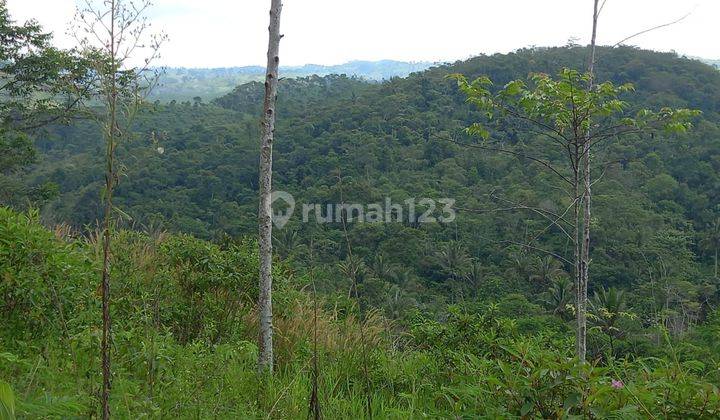 Di jual tanah Sukabumi cocok utk agro wisata ..perkebunan pertanian perubahan  1