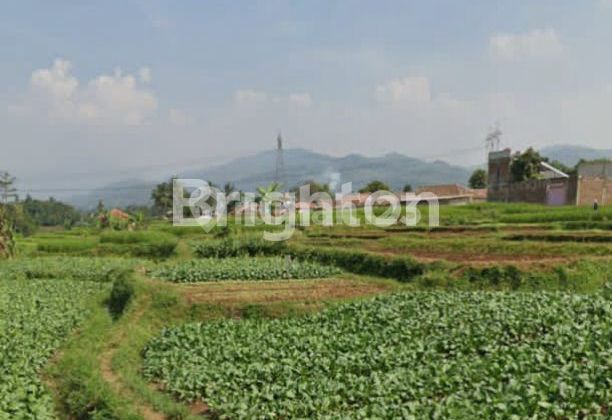 TANAH BANJARAN 1500 METER SHM DEKAT MANDALIKA BANJARAN TANAH BANJARAN 1500 METER SHM DEKAT MANDALIKA BANJARAN