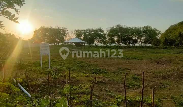 Tanah Wisata Nusa Tenggara Timur Manggarai Komodo