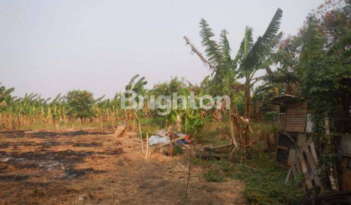 TANAH KAVLING CENGKARENG RING ROAD JAKARTA BARAT MURAH 2