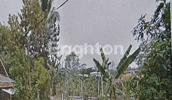 TANAH JALAN LAPANGAN MERAH  SRENGSENG SAWAH  KEC JAGAKARSA JAKARTA SELATAN 1