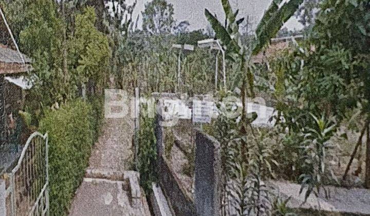 TANAH SRENGSENG SAWAH JL LAPANGAN MERAH KEC JAGAKARSA JAKARTA DELATAN 1