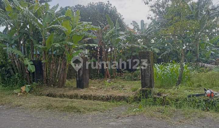 Di Jual Murah Tanah Pekarangan Asri dengan Pemandangan Hijaulokasi Jl Kaliurang KM 9 Ngondangan Sardonoharjo Ngaglik Sleman , Jogja