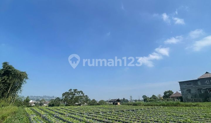 Land in Lembang Bandung, Bandung 7,190 m² Land in Lembang Bandung, Bandung 7,190 m²